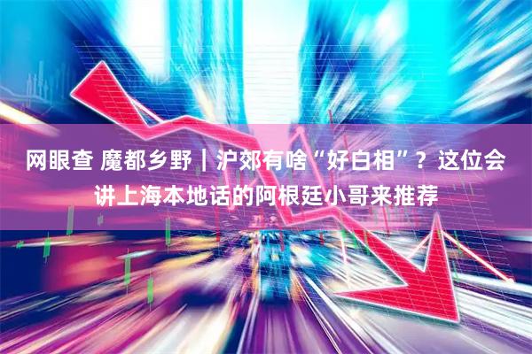 网眼查 魔都乡野｜沪郊有啥“好白相”？这位会讲上海本地话的阿根廷小哥来推荐