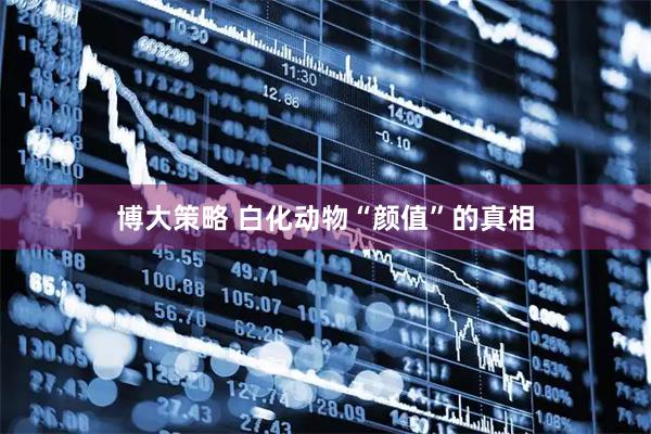 博大策略 白化动物“颜值”的真相