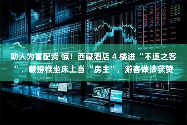 助人为富配资 惊！西藏酒店 4 楼进 “不速之客”，藏猕猴坐床上当 “房主”，游客做法获赞