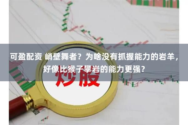 可盈配资 峭壁舞者？为啥没有抓握能力的岩羊，好像比猴子攀岩的能力更强？