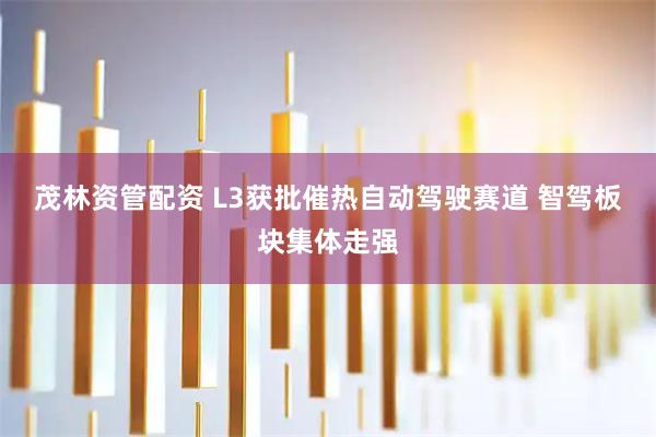 茂林资管配资 L3获批催热自动驾驶赛道 智驾板块集体走强